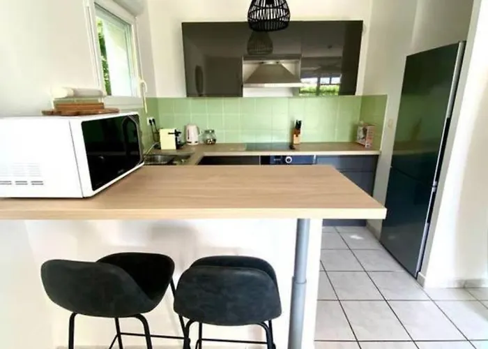 Paisible Climatisé Avec Jardin La Teste-de-Buch